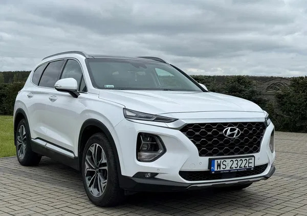 Hyundai Santa Fe cena 147000 przebieg: 62000, rok produkcji 2019 z Siedlce małe 137